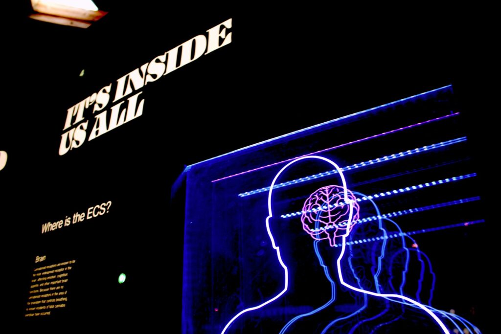 Neuromarketing